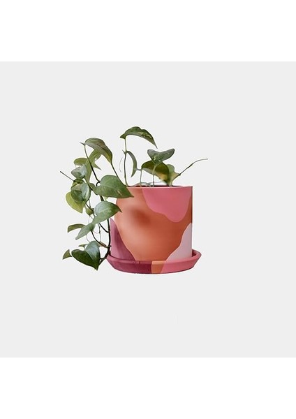 Silindir Saksı+Tabak • Pembenin Tonları (Küçük) fırsatları