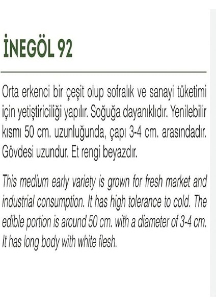 Tarım Yerli Doğal Pırasa Inegöl 1000 Adet Tohum fiyatları