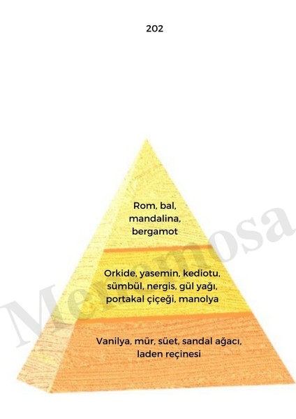 202 + 202 Kadın Parfüm Edp Oriental - MNMS2022 fiyatları