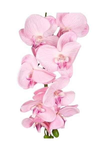 Yapay Orkide Gerçek Dokulu Pembe 95 Cm. fiyatları