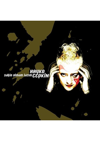 Şeyler Hayko Cepkin Sakin Olmam Lazım Plak
