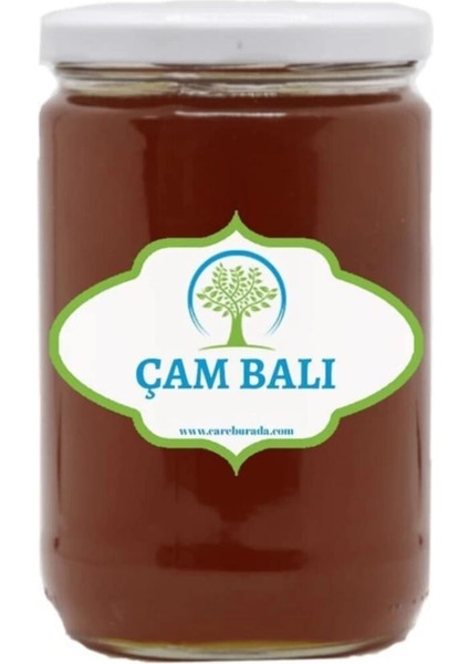 Doğal Çam Balı (850 Gr)