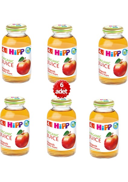 Organik x 6 Adet Elma Suyu 200ML