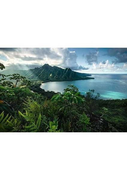 Yapboz 16106 - Çarpıcı Hawaii - 5000 Parça Yapboz Yetişkinler ve 14 Yaşından Büyük Çocuklar Için fiyatları