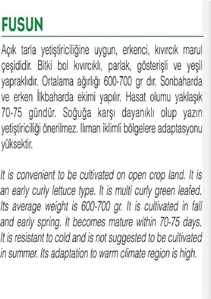 Tarım Ata Tohumu Yerli Kıvırcık Marul Füsun 1000 Adet Tohum fiyatları