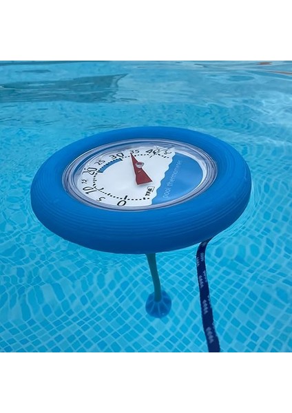 Dostmann Saat Yüzme Havuzu Termometresi, Çok Renkli, 19,3 x 4,2 x 26,700000000000003 cm fiyatları