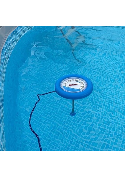 Dostmann Saat Yüzme Havuzu Termometresi, Çok Renkli, 19,3 x 4,2 x 26,700000000000003 cm modelleri