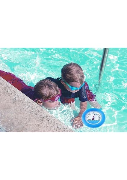 Dostmann Saat Yüzme Havuzu Termometresi, Çok Renkli, 19,3 x 4,2 x 26,700000000000003 cm fırsatları