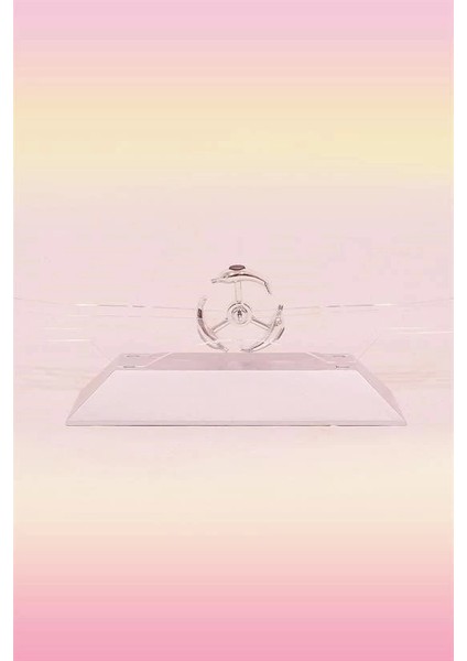 Dekoratif Masa Üstü Obje Manyetik Kinetik Orbital Dönen Yunuslar fırsatları