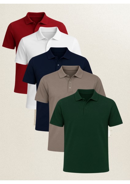Erkek Giyim 5 Adet %100 Pamuklu Çok Renkli Regular Fit Polo Yaka T-Shirt LL.D01.IN1.002