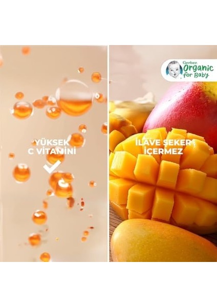 Gerber Organic Yulaflı Elma, Çilek ve Muz Püre 110G​