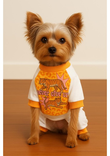 Never Give Up Köpek Tulum Pijama fırsatları