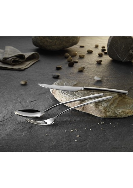 Iris Sade 60 Parça Bıçaksız 12 Kişilik Çatal Kaşık Seti 304 - 18/10 Paslanmaz Çelik