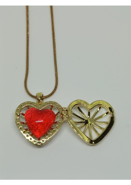 Değiştirilebilir Kalp Taşlı Açılabilir Kafes Madalyon Kolye fiyatları