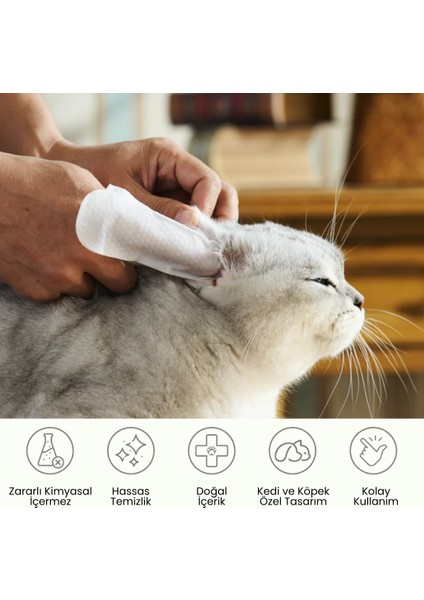 Göz Kulak Büyük Boy Parmak Mendil 60 Adet | Kir Temizleyici | Kedi Köpek | Nano Gümüş Içermez indirimleri