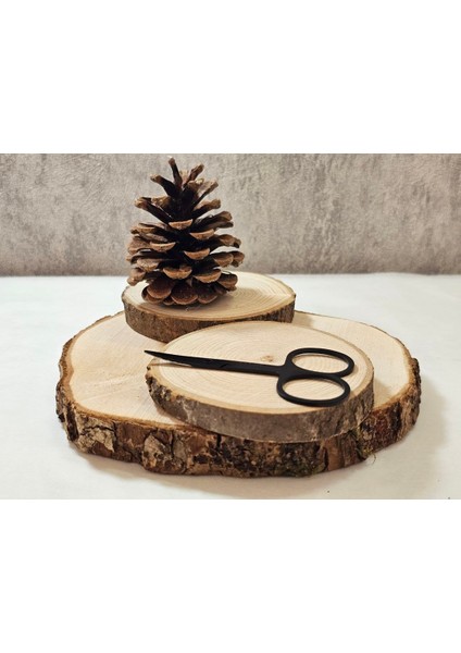 Çok Amaçlı Makyaj Makas – Kaş, Saç ve Makyaj Için Profesyonel Paslanmaz Çelik Makas