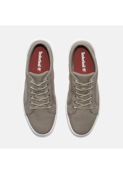 Low Lace Up Sneaker Erkek Bej Günlük Ayakkabı - TB0A67E1 fiyatları