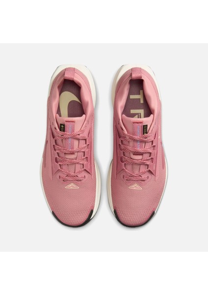 Pegasus Trail 5 Gore-Tex Running Kadın Koşu ve Spor Ayakkabı-Su Geçirmez Rahat Tasarım -FQ0912