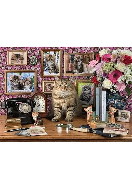Puzzle, Cute Kitty, 1000 Parça fiyatları