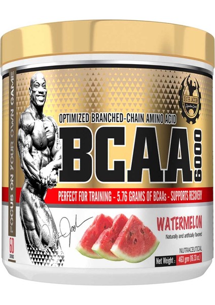 Bcaa 6000 60 Servis modelleri