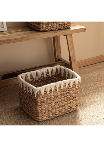 Zirani Sepet M fiyatları