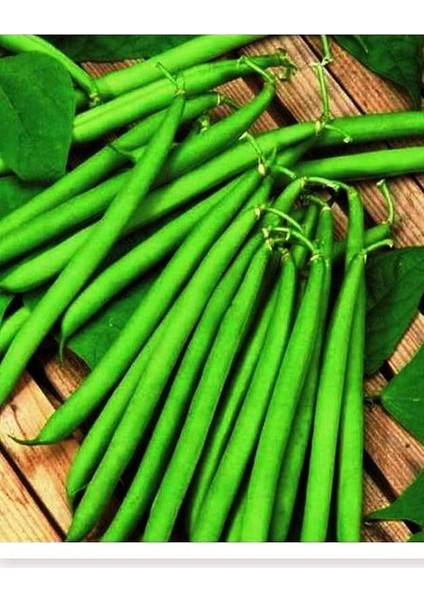 Tarım Ata Tohumu Yerli Oturak Fasulye Elif 50 Adet Tohum