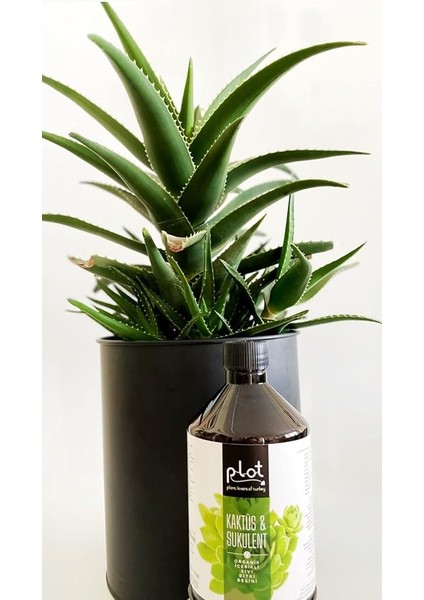 Kaktüs Sukulent Organik Içerikli Bitki Besini 500 ml indirimleri