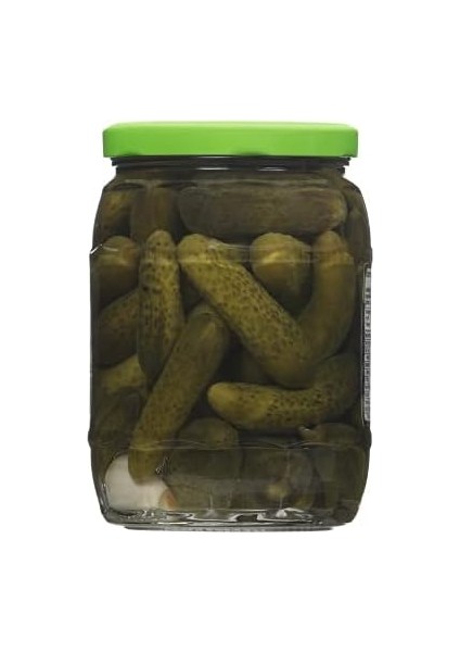 Penguen Kornişon Turşu 670G fiyatları