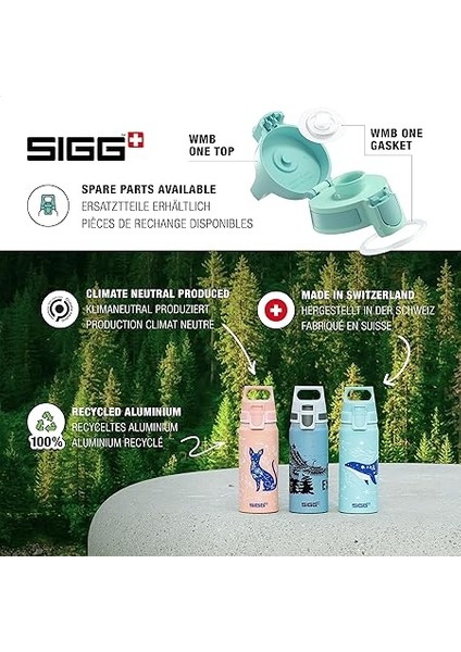 Wmb One Harry Potter Matara 0.6 Litre fırsatları