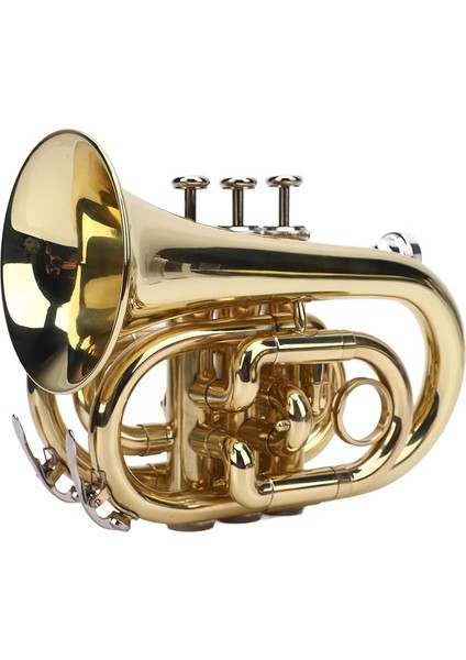 Bb Düz Pirinç Trompet, 7c Ağızlık, Temizlik Bezi, Eldiven, Kayış, Sert Kasa, Yeni Başlayanlar, Öğrenciler ve Profesyoneller Için Kompakt Trompet