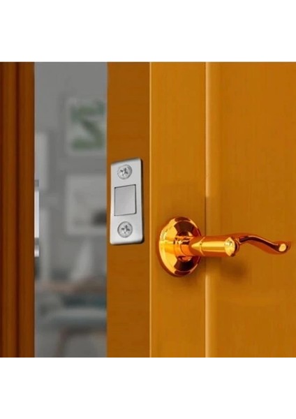 ® 2 Çift Çok Amaçlı Kapı Kapak Dolap Çekmece Mobilya Durdurucu Kapatıcı Mıknatıslar