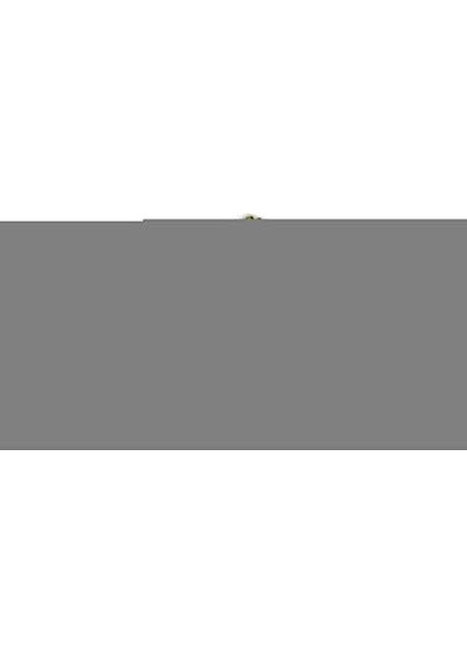 Kabin Filtresi Fp 26 005 (Renault) fırsatları