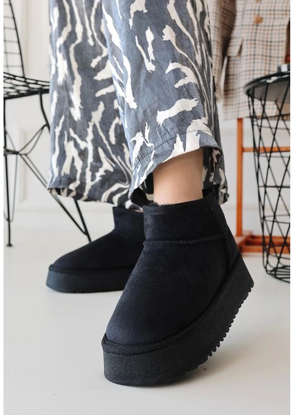 Linne Siyah Süet Bot