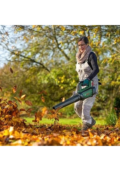 Home And Garden 36 Volt Akü Başlangıç Seti (1 Akü 36 V 2.0 Ah, Şarj Cihazı Al 36V-20, Karton Pakette) indirimleri