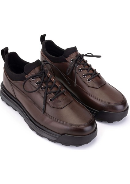 Erkek Hakiki Deri Taba Sneakers & Spor Ayakkabı 1145 1001 Erk Ayk SK25-26 Taba fiyatları