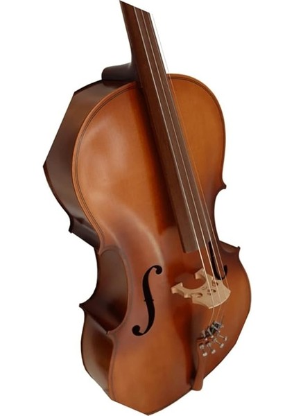GT-224 Profesyonel Üst Kalite Masif Ağaç Çello Viyolonsel modelleri