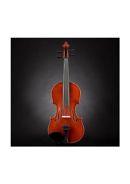 V5SC Keman (4/4) fiyatları