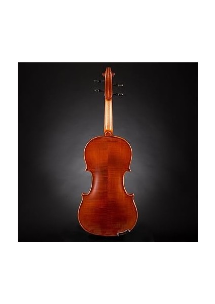 V5SC Keman (4/4) modelleri