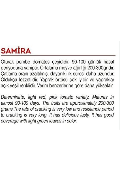 Tarım Ata Tohumu Yerli Pembe Köy Domatesi 100 Adet Tohum fiyatları