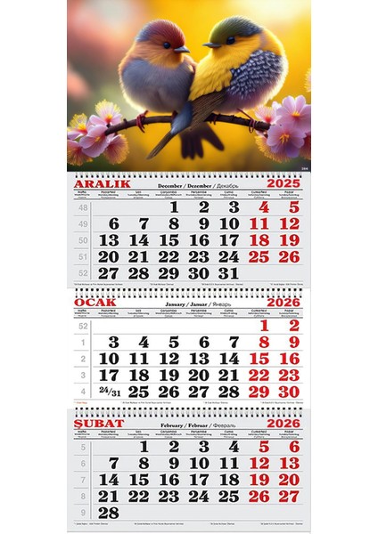 2026 Yılı Gemici Takvimi- Rengarenk Kuşlar