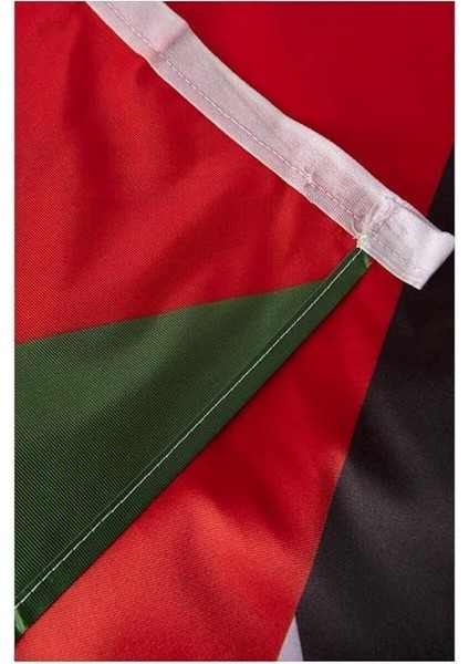 Bayrak Filistin Milli Gönder Bayrağı Raşel Kumaş Dijital Baskı 100X150-ÖZEL Sert Plastik Kutu ile Gelir- fırsatları