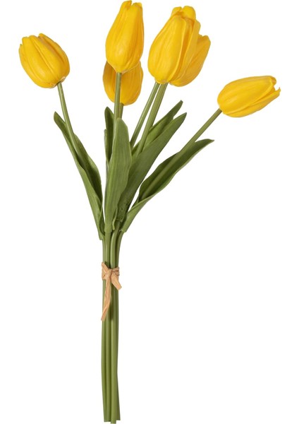 Concept Lale Demeti Sarı 35CM