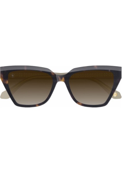 SB1135COL03 Kadın Güneş Gözlüğü fırsatları