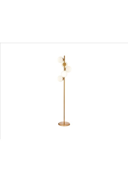 Molly 5'li Lambader Eskitme