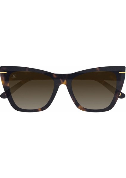 SB1107COL02 Kadın Güneş Gözlüğü modelleri