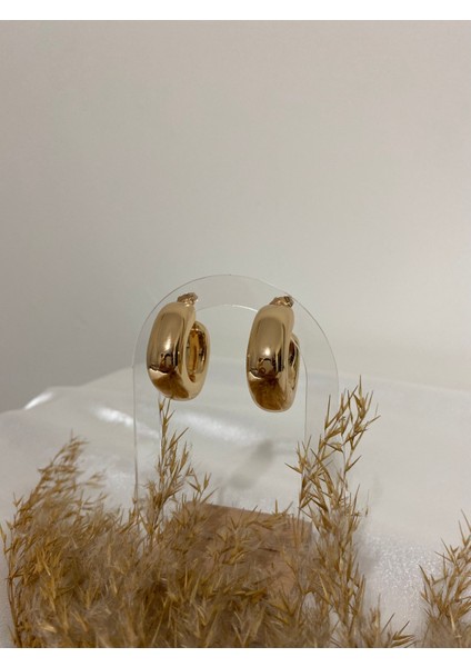 Modern Halka Xupıng Çelik Küpe fiyatları