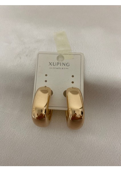 Modern Halka Xupıng Çelik Küpe modelleri