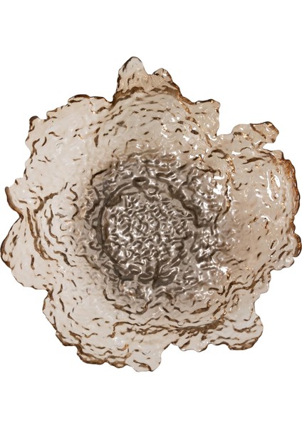 Concept Glaze Dekoratif Kase 40CM