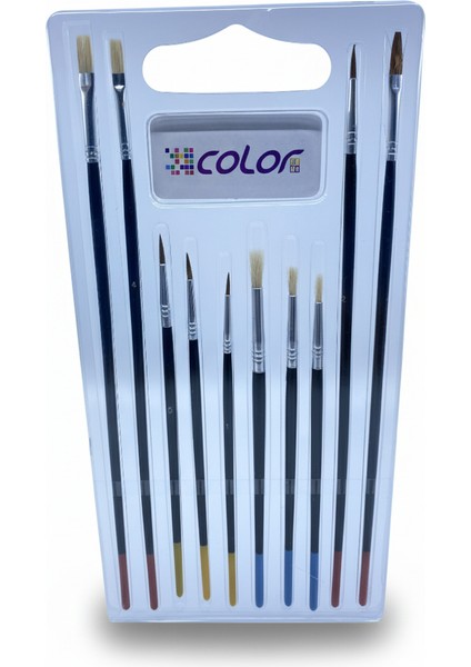 bank Fırça Seti 10'lu Cfr-10