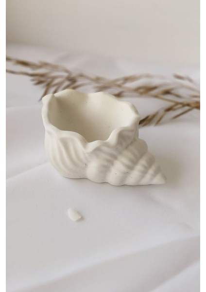 Deniz Kabuğu Mini Aksesuar Tabağı Dekoratif Beton